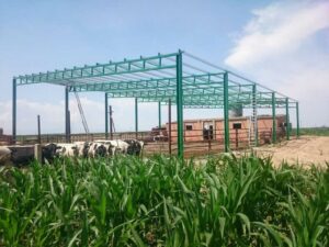 CREACION DE NAVE GANADERA